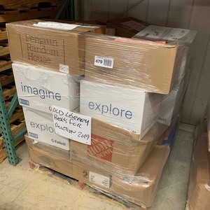 lot 479 image: Pallet Full of Elementary Library Books