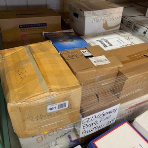 lot 481 image: Pallet Full of Elementary Library Books