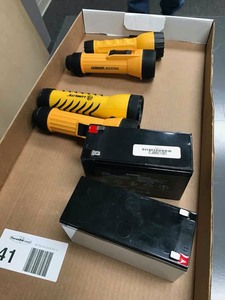 lot 41 image: (4) Flashlights and (2) 12 v batteries