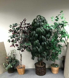 lot 98 image: (4) Tall Artificial Plants
