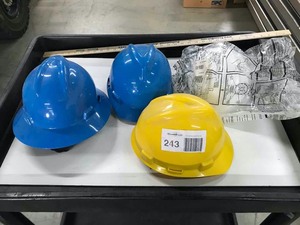 lot 243 image: (4) Hard Hats