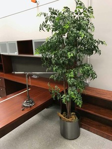 lot 567 image: Ott-Lite Mod. T593NR Desk lamp, Bush tree
