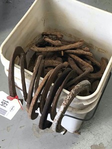 lot 164 image: HorseMule Shoes