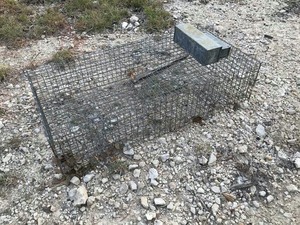 lot 314 image: Traps  Wire Bird Trap by Pied Piper Animal Traps