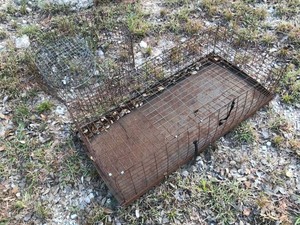 lot 318 image: (3) Chicken CoversCarrier