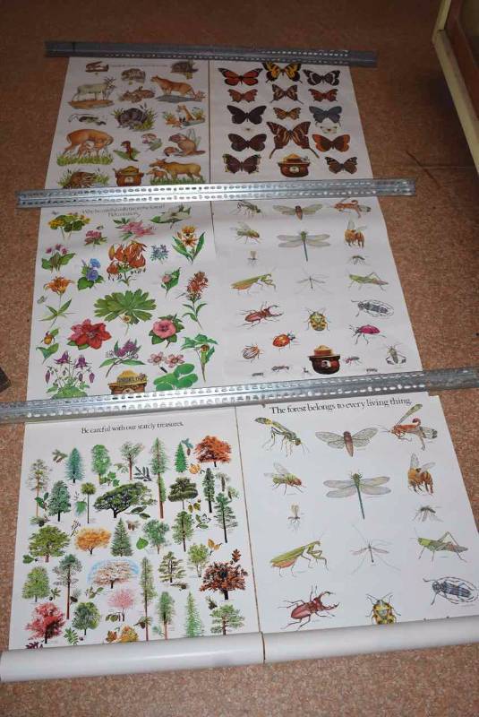 lot 209 image: (6) Posters US Dept. Agriculture & Forest Service
