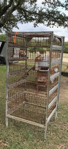 lot 144 image: Antique Galvanized Industrial Rack with Wire Bins