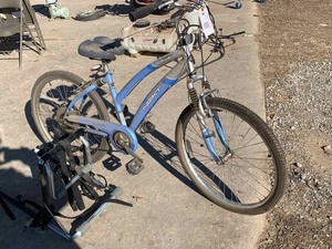 lot 4 image: Bicycle Next Avalon CS & Allen Bike Rack Model 103D