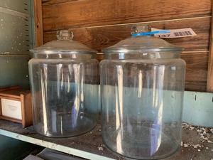 lot 137 image: (2) large glass candy jars